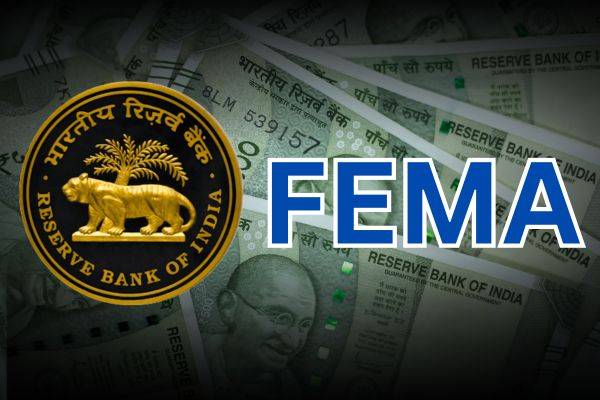 FEMA Services in India Explained: A Simple Guide for Businesses