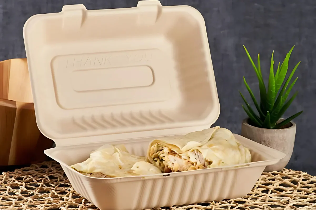 Bagasse Containers with Lid for Eco-Friendly and Sustainable Food Packaging